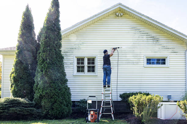 Best Roof Washing  in Ellsworth, ME